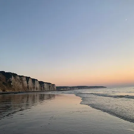 Dp19 - Le Tropico De Dieppe